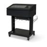 TallyGenicom P6800
